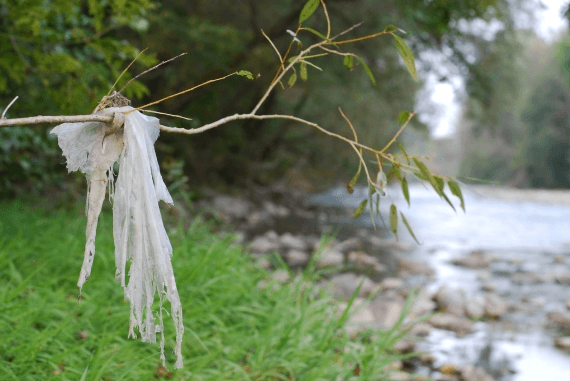 Zala_Prevorek_-_Breg_reke_Sore_kofja_Loka