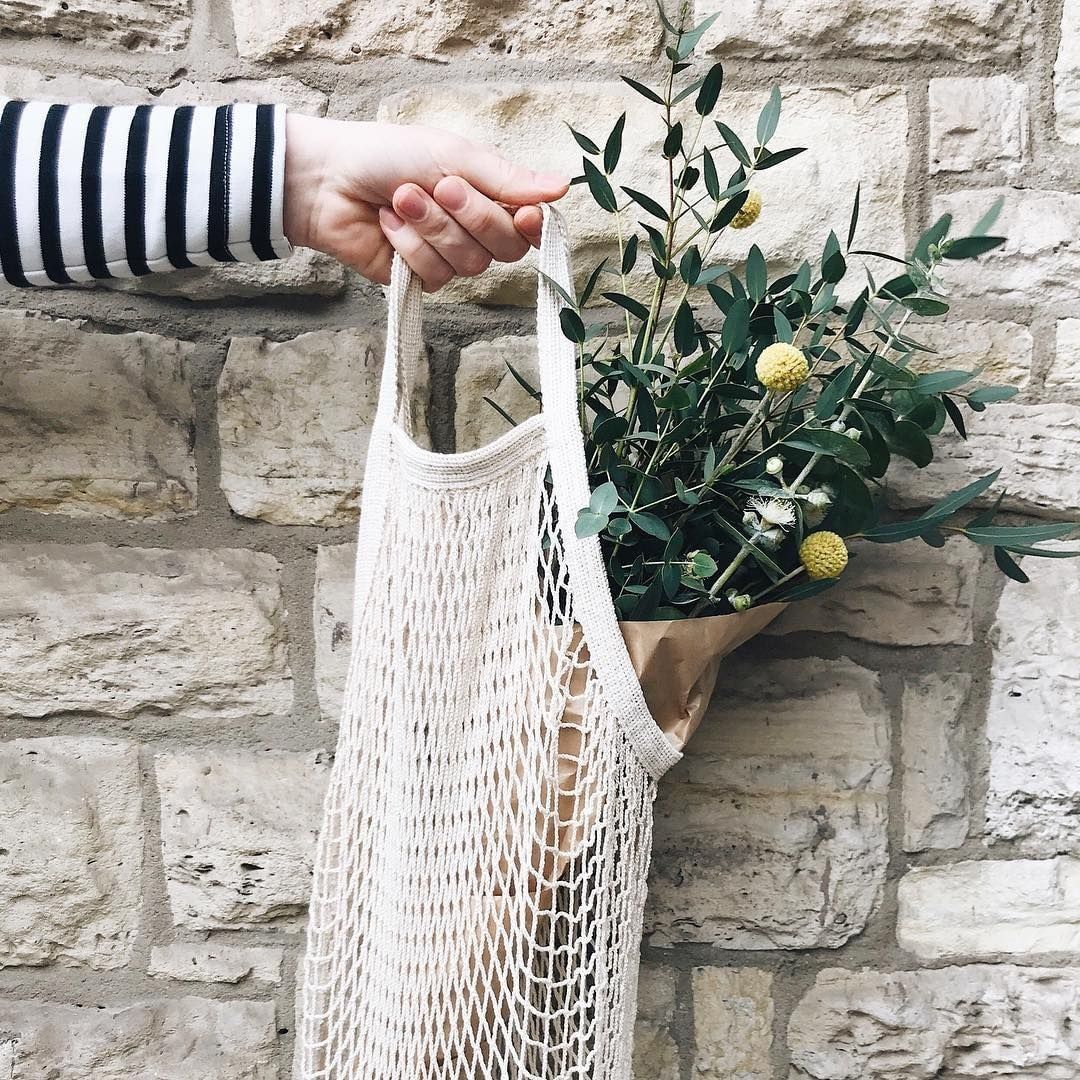 28429808 382954525504697 3529048849005936640 n